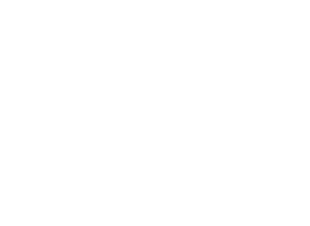 Фондация Лъчезар Цоцорков
